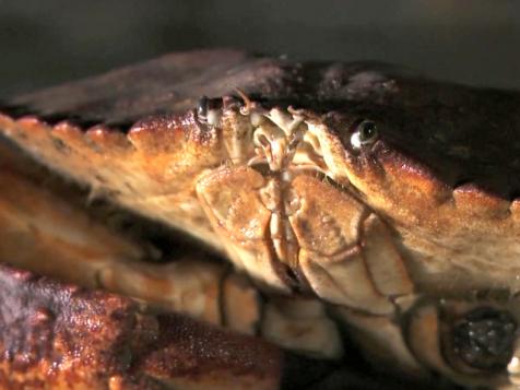 Crab Fishing in San Francisco