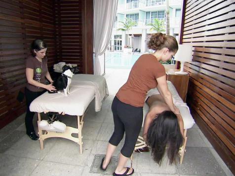Spa Treatment for Your Dog