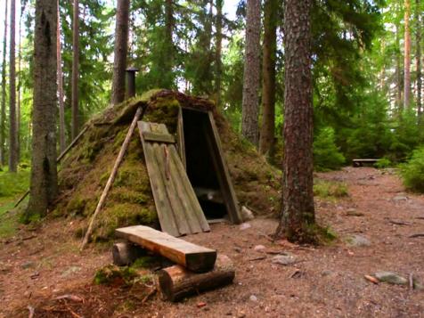 Sleep in a Forest Hut