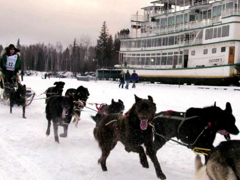 Meet Balto, Hero Sled Dog