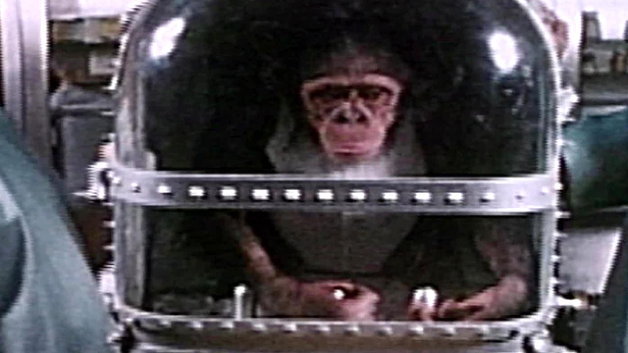 Chimp Conquers Outer Space