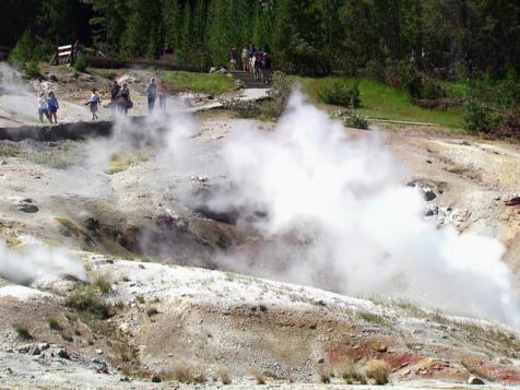 Yellowstone's Deadly Bears