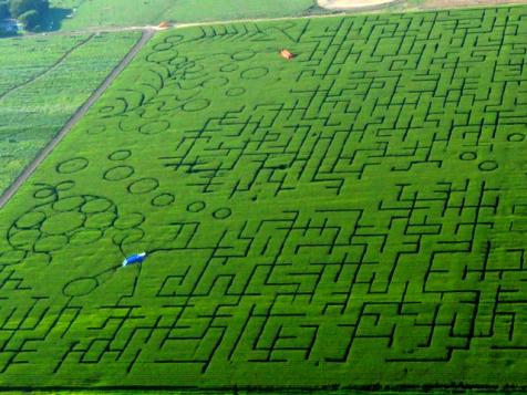 California's 45-Acre Corn Maze