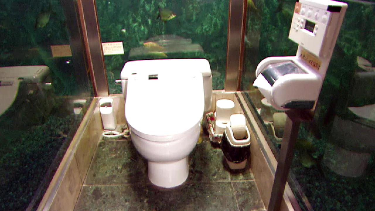 A Bathroom Under the Sea