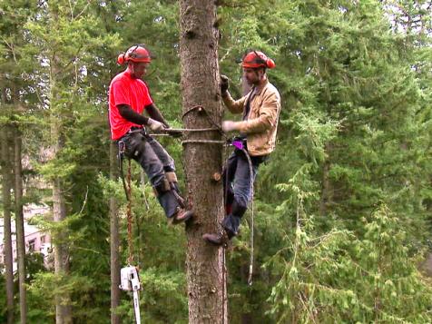 Don Gets His Lumberjack On