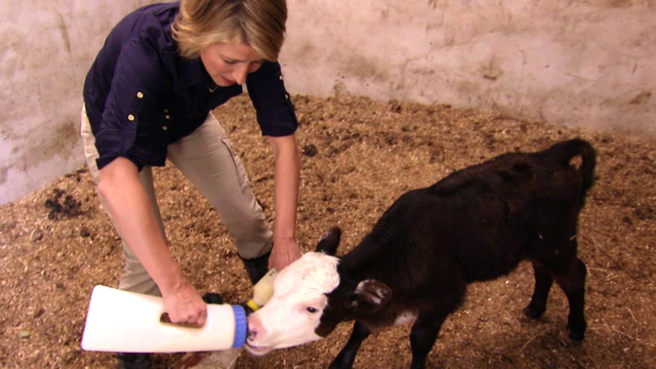 Sam Feeds Baby Farm Animals