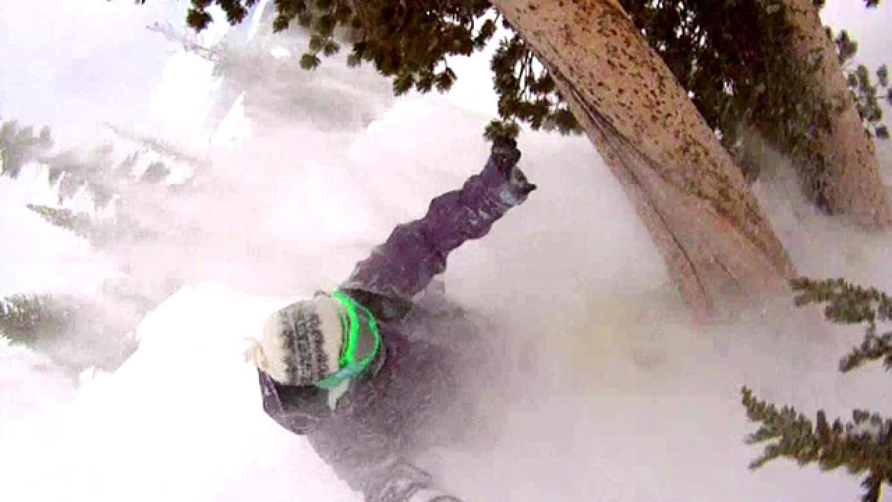 Snowboarder Slams into Tree