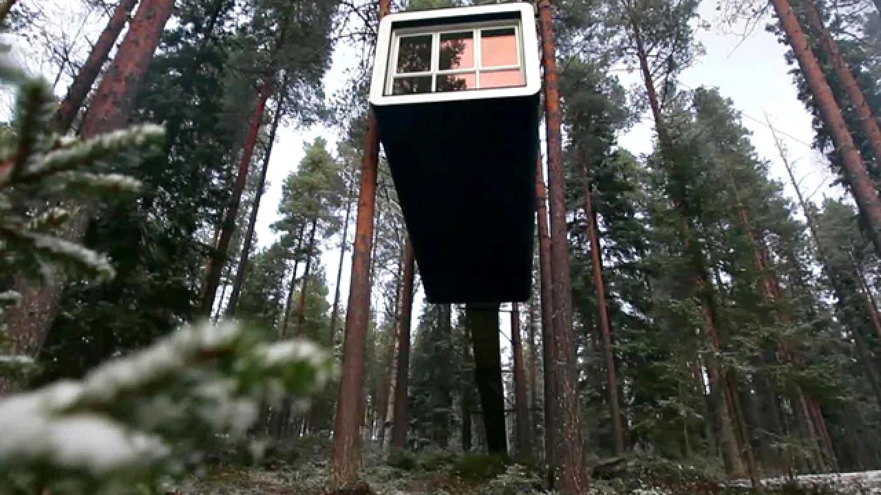 Treehouse Hotels