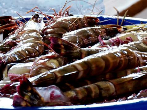 Mozambique's Seafood