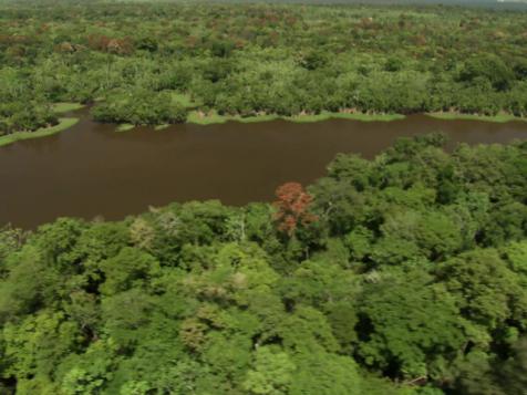 The Amazon River