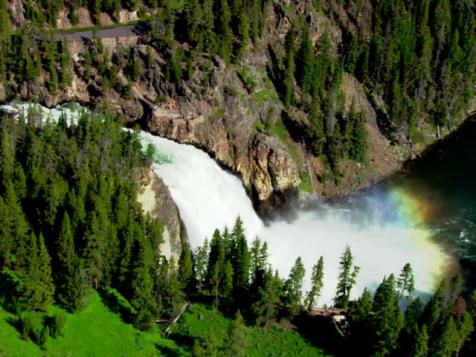 Yellowstone's Living Landscape