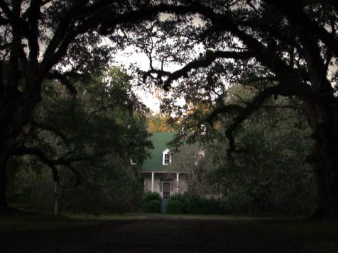 Voodoo on Magnolia Plantation