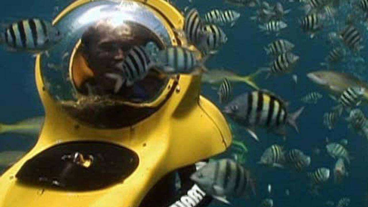 Underwater in the Bahamas