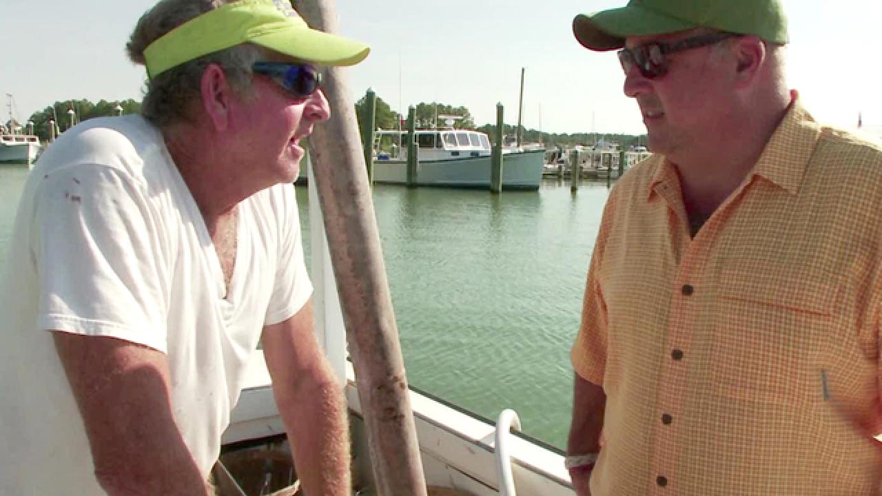 Crabbing on the Chesapeake Bay