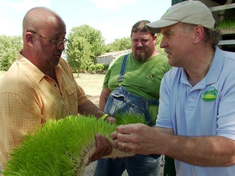 Iowa's Edible Green Mats