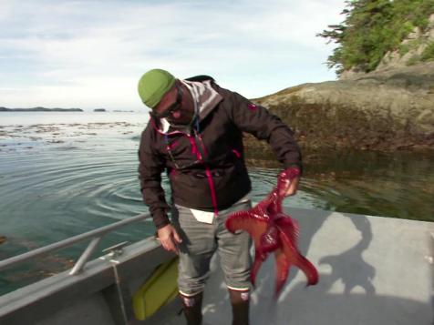 Diving for Dinner in Alaska