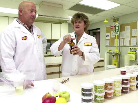 Visit the Jelly Belly Factory