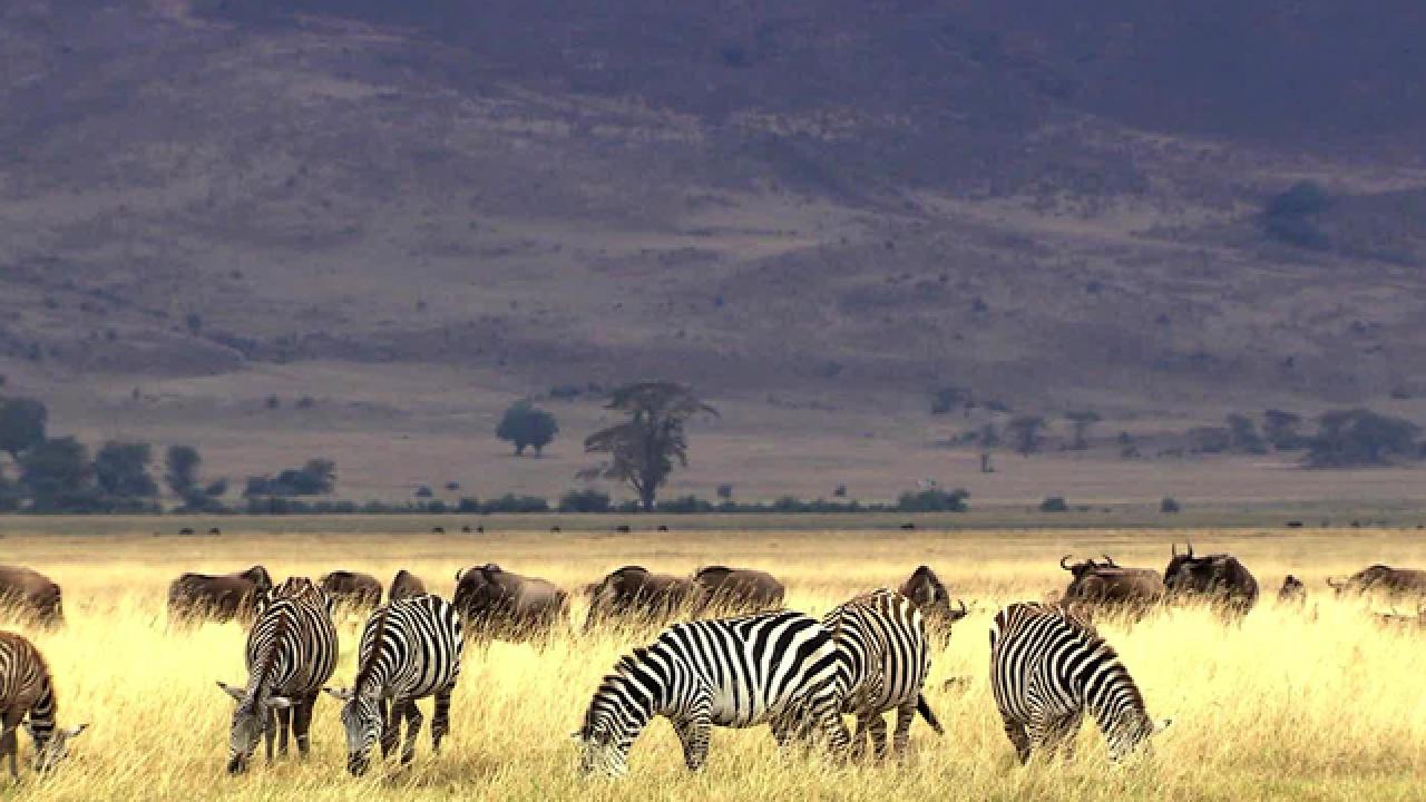 Travel Trends 2013: S. Africa