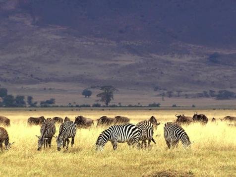 Travel Trends 2013: S. Africa