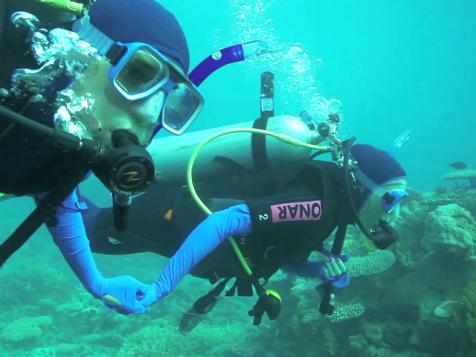 Scuba Diving in Queensland