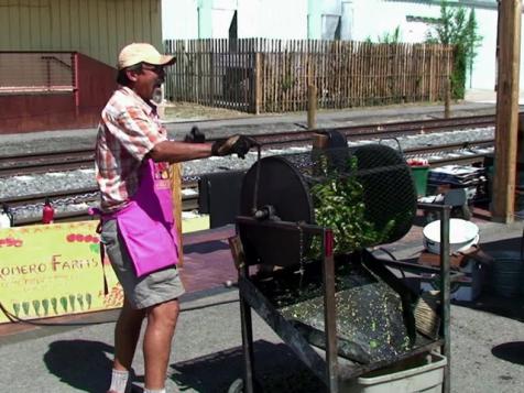 New Mexico's Chile Tradition