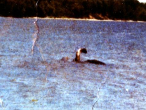 Lake Champlain's Beast