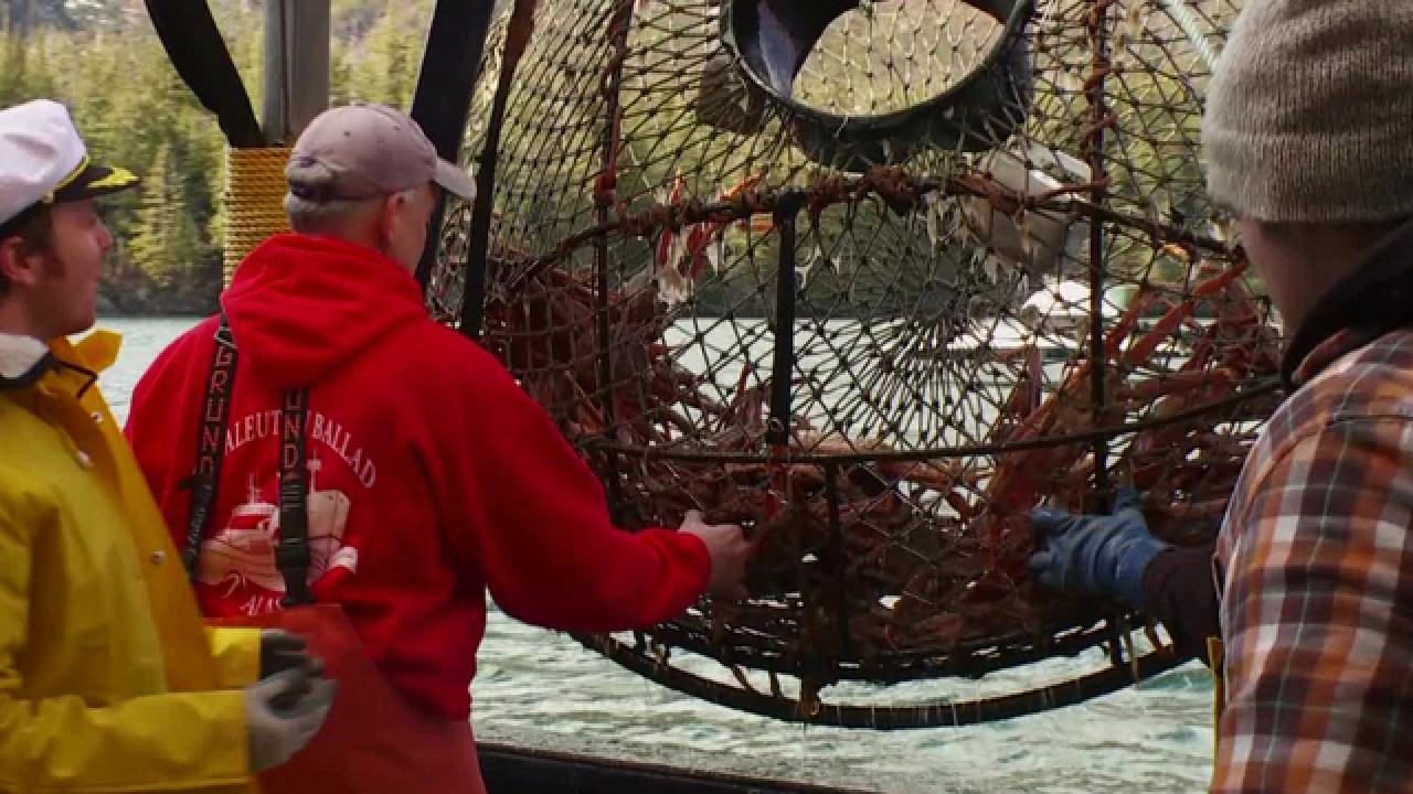 Alaskan King Crabbing