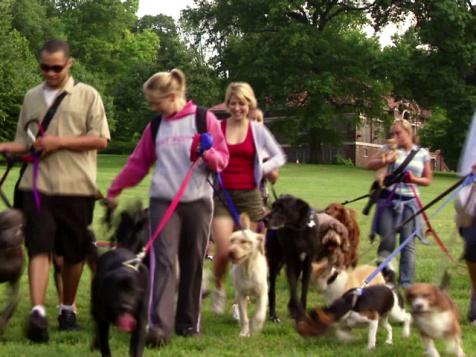 Prospect Park Pets in Brooklyn