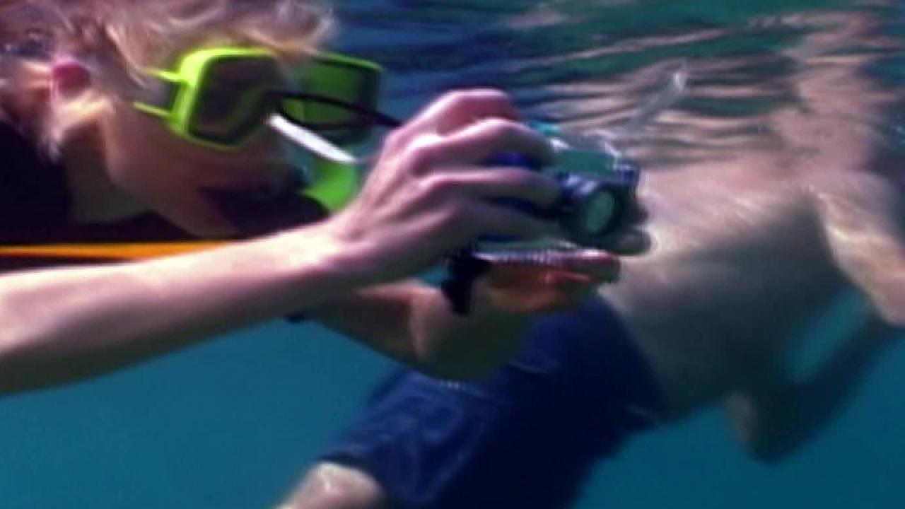 Snorkeling in Hawaii's Reefs