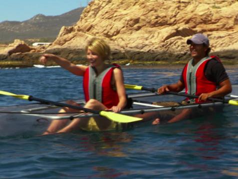 Kayaking With Whales