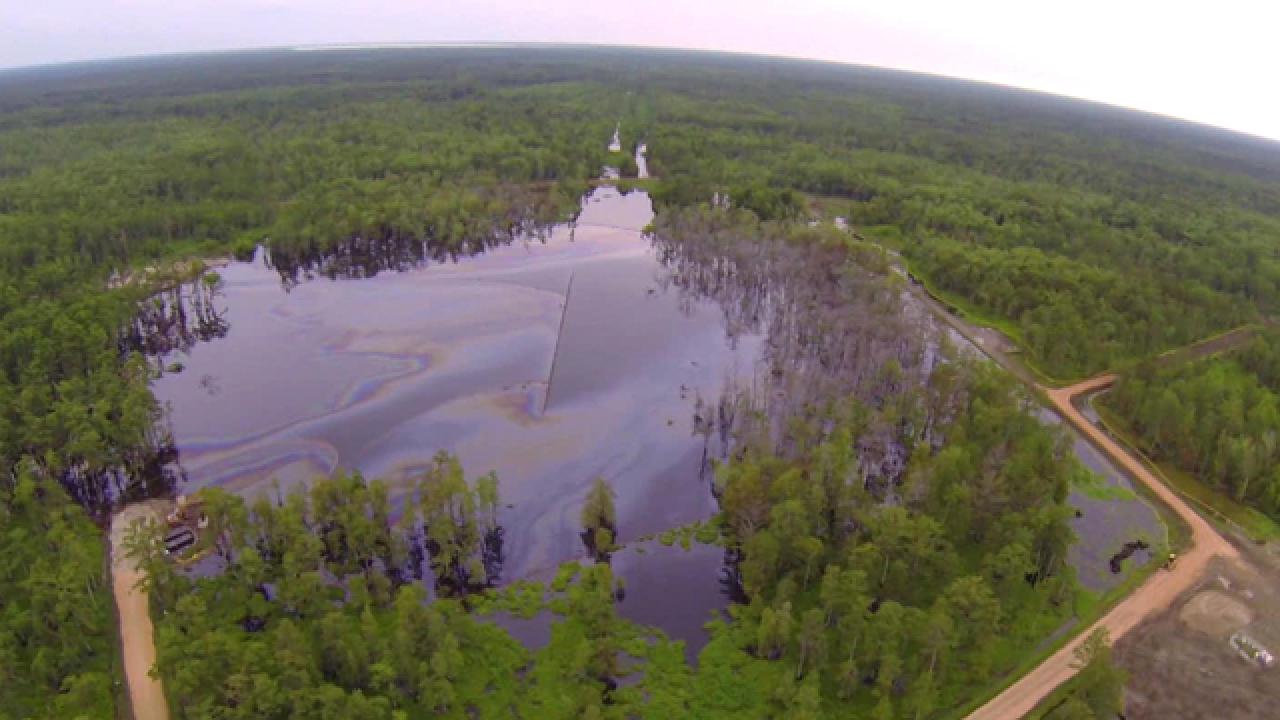 A Sinkhole in the Bayou