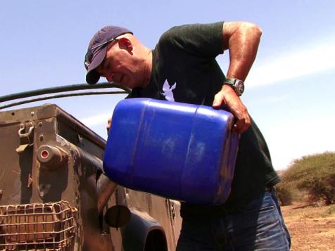 Avoiding the Serengeti's Lions