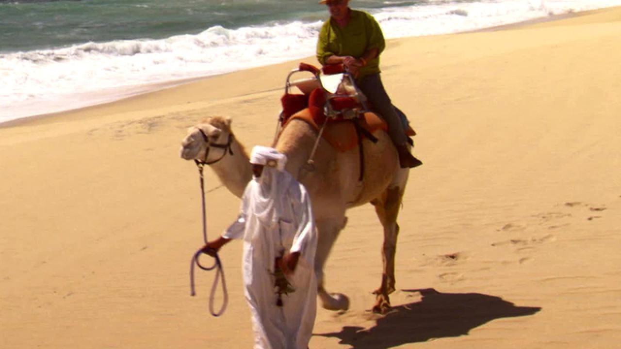 Cabo Camel Safari
