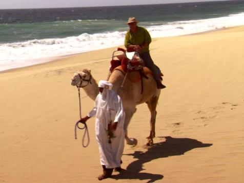 Cabo Camel Safari