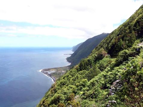 Excitement in the Azores