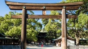 Torii Gate at Meiji Jingu Shrine Tokyo Japan