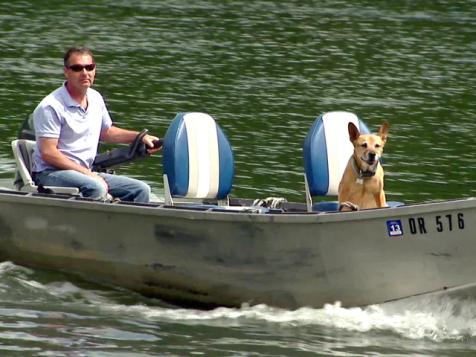 Houseboat Animals