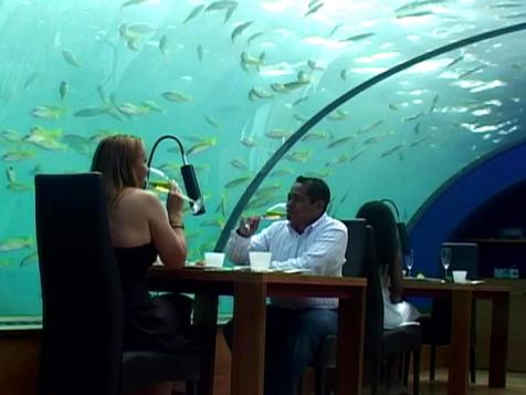 Eating With the Fishes