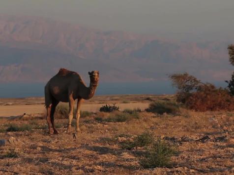 No. 89 The Dead Sea