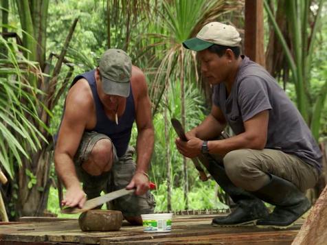 Machetes and Parakeets