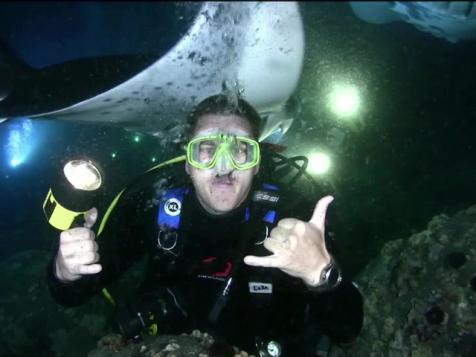 Night Diving in Hawaii