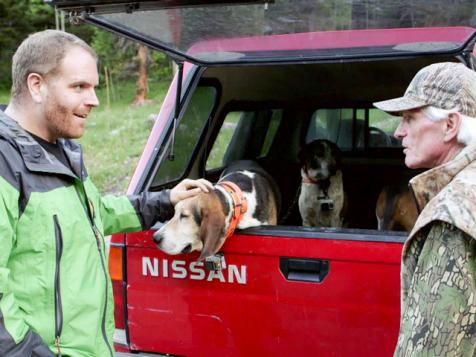 Gold-Sniffing Hounds