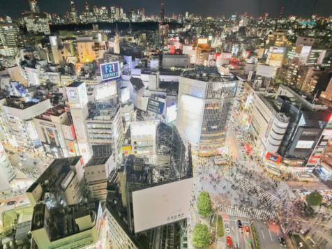 Top 5 Things to Do in Tokyo