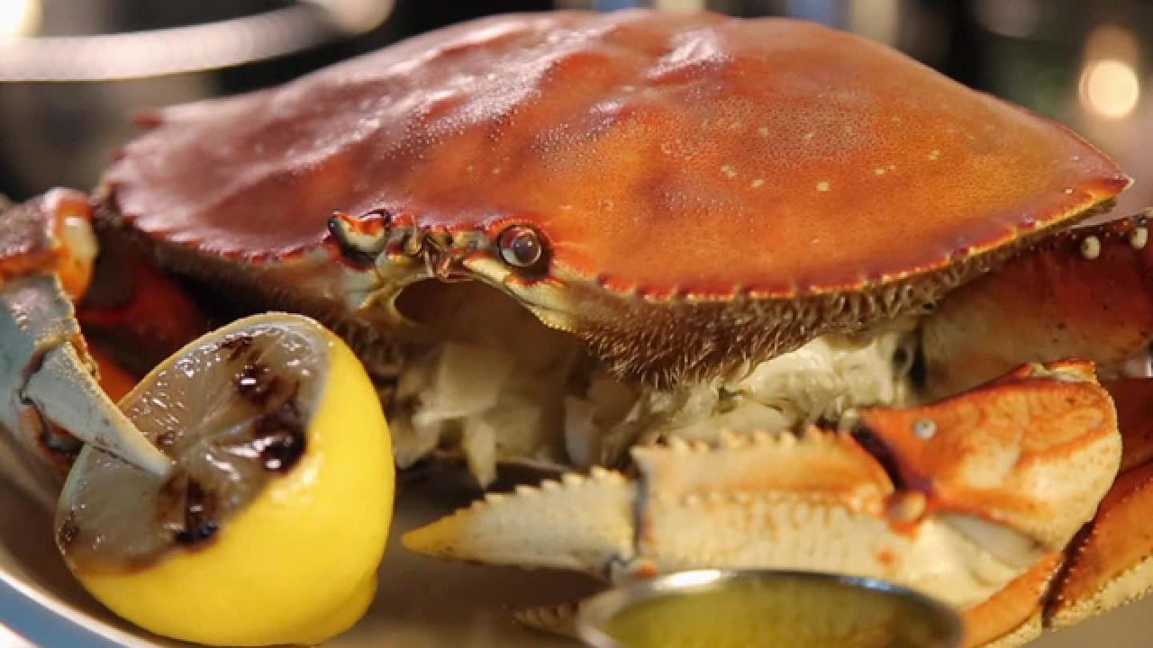 Dungeness Crab