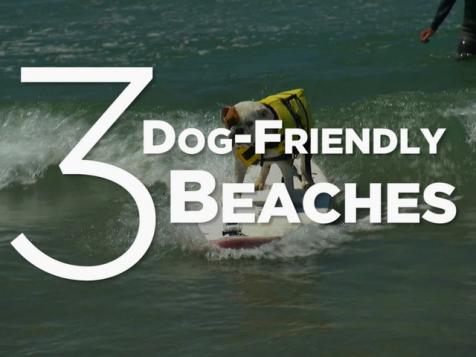 3 Dog-Friendly Beaches