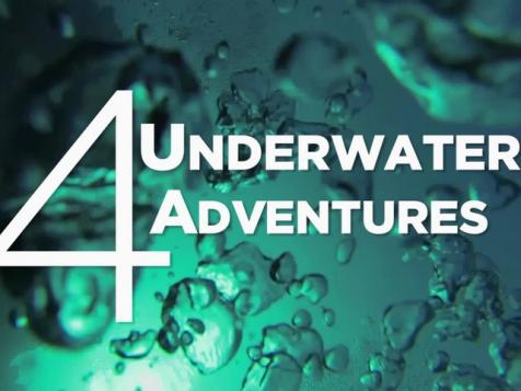 4 Underwater Adventures