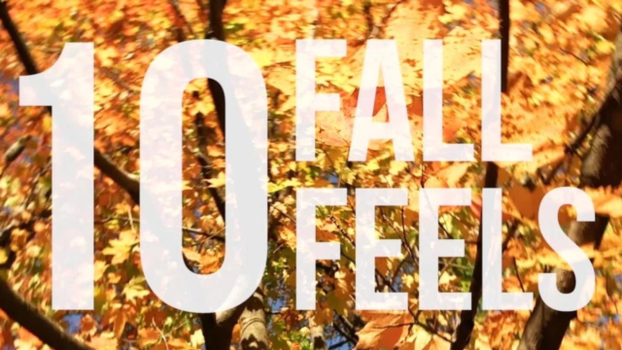 10 Fall Feels