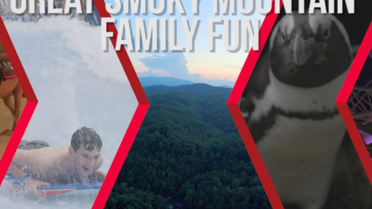Family Fun in the Smoky Mountains