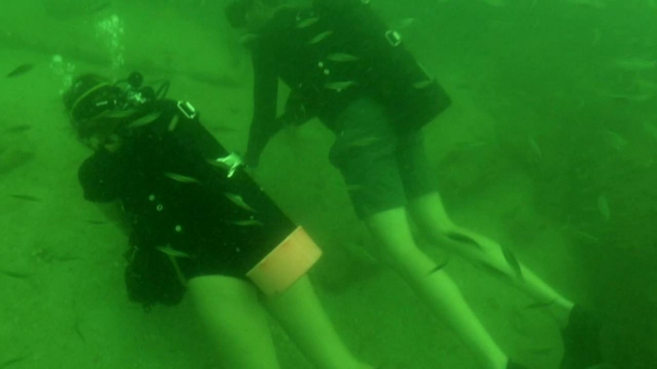Best Diving Spots