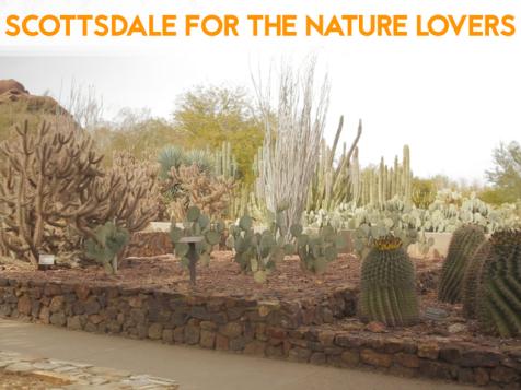 Best of Scottsdale Outdoors